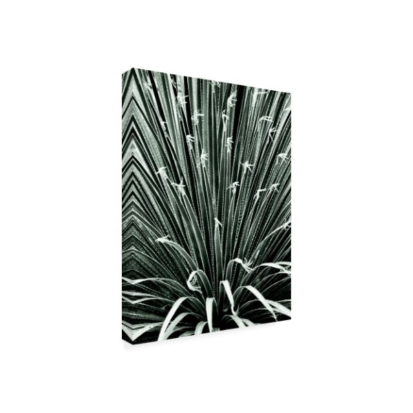 Incado 'Leaf V' Canvas Art,14x19